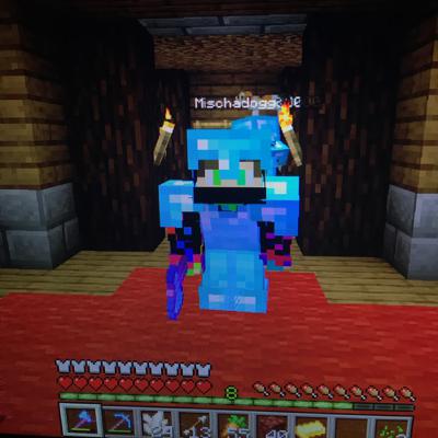 #3 Mein Minecraft Server mit meinem Freund