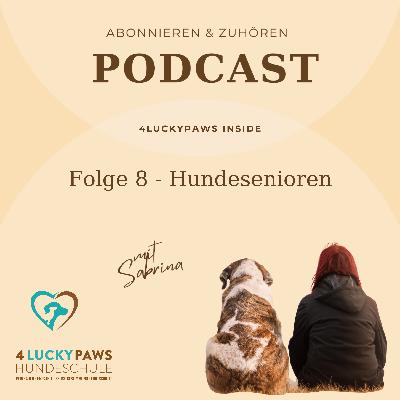 Folge 8 - Hundesenioren: Wie sich das Leben mit älteren Hunden verändert