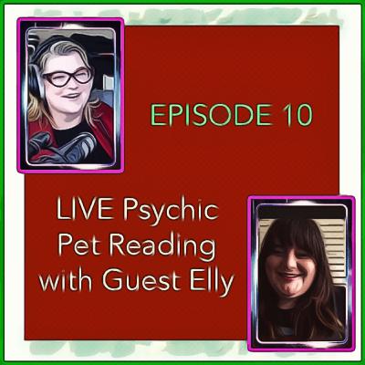 LIVE Psychic Pet Reading with Elly