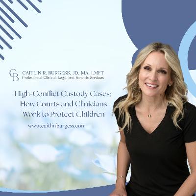 High-Conflict Custody Cases: How Courts and Clinicians Work to Protect Children