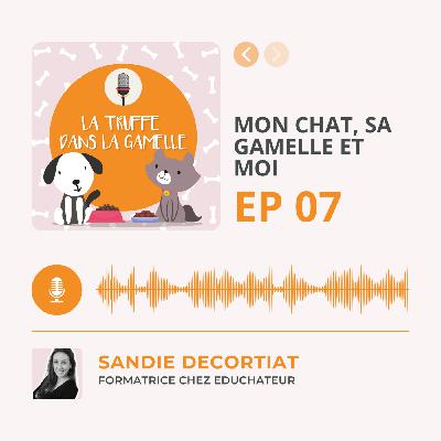 Mon chat, sa gamelle et moi