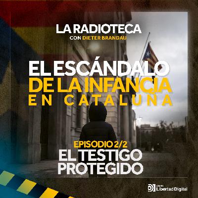 2/2 - El testigo protegido que desafió a la DGAIA 2/2 - El testigo protegido que desafió a la DGAIA