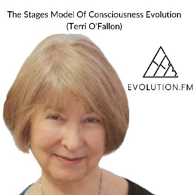 The Stages Model Of Consciousness Evolution (Terri O'Fallon)