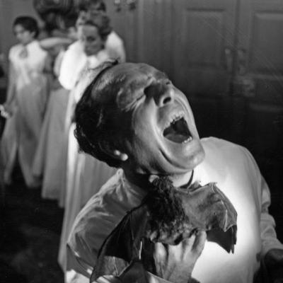 Zwierzęcy Kalejdoskop Filmowy - Odcinek 10: Nietoperz