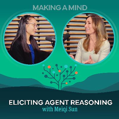 Eliciting Agent Reasoning with Meiqi Sun