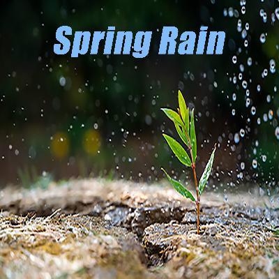 Soothing Gentle Spring Rain at Night - Relaxation and Sleep