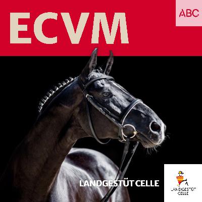 ECVM ECVM