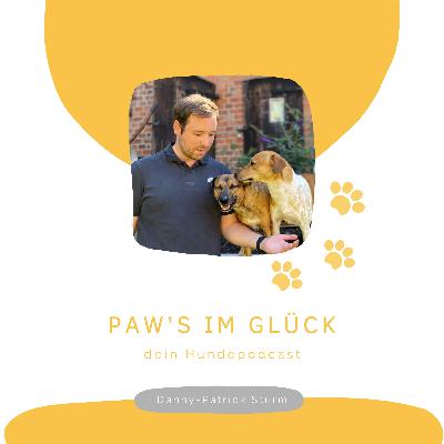 Paws im Glück - dein Hundepodcast (Trailer)