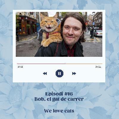 Episodi #16 - Bob, el gat de carrer 🐈​🎸