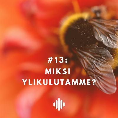 Miksi ylikulutamme?