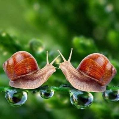 Poezija: "Molba srcu"