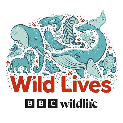 Welcome to Wild Lives!