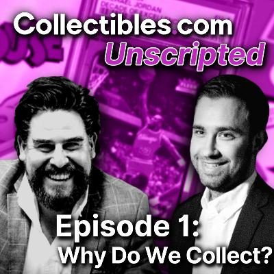 Why Do We Collect? Why Do We Collect?