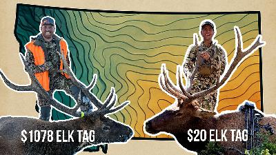 Why Non-Resident Hunters Pay More | Week of May 5