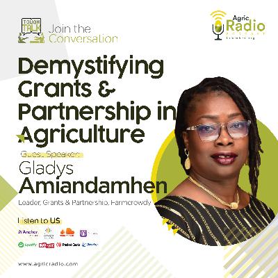 Demystifying Grants & Partnership in Agriculture with Gladys Amiandamhen