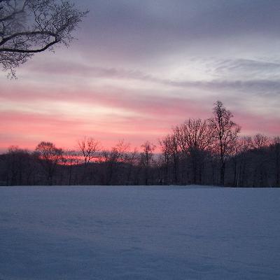 Celebration Celebration