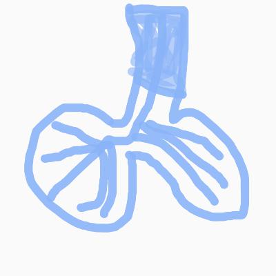 Trailer/Трейлер