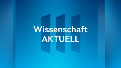 Wann kommen die Robotaxis, Herr Gruber? Wann kommen die Robotaxis, Herr Gruber?