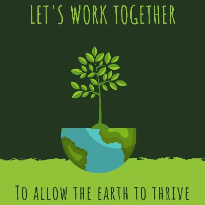 How to Be Environmentally Friendly in Your Everyday Life