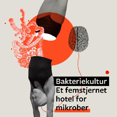 # 2 Et femstjernet hotel for mikrober