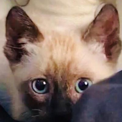 Amor incondicional , dor proporcional