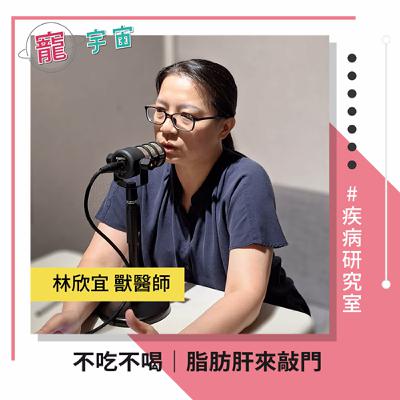 EP85《疾病研究室#34》不吃不喝｜脂肪肝來敲門｜feat. 林欣宜 獸醫師
