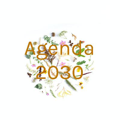 ENTREVISTA CON ANDREA VALERIO