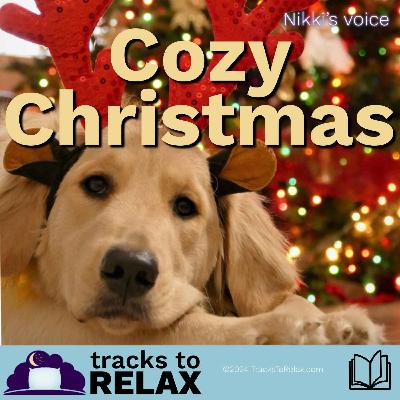 Cozy Christmas Bedtime Story Cozy Christmas Bedtime Story