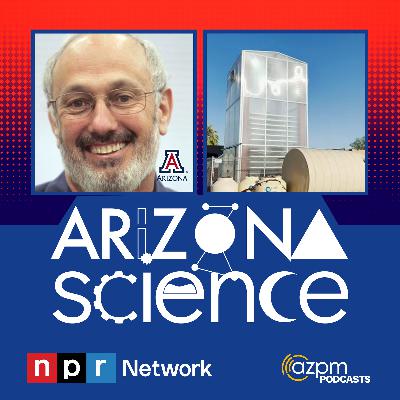 Feeding plants and animals using solar energy