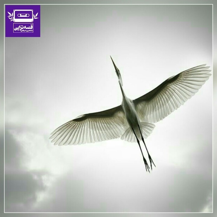 رادیو صدای زمین