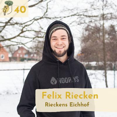 #40 How to diversify a milk and meat farm using silvopasture and alley cropping with Felix Riecken