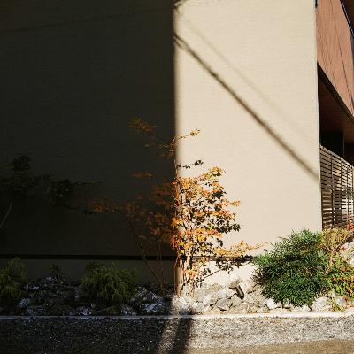 #24-2 『世代とは何か（ティム・インゴルド）』読書会 / 「認識」側が勢いよく扉を開けてくる