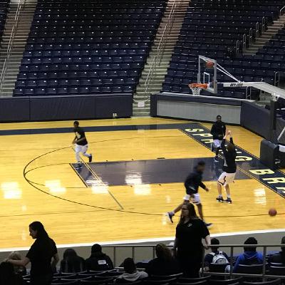 Spring Woods Tigers vs Dekaney Wildcats Bi-District Boys Basketball Game Spring Woods Tigers vs Dekaney Wildcats Bi-District Boys Basketball Game