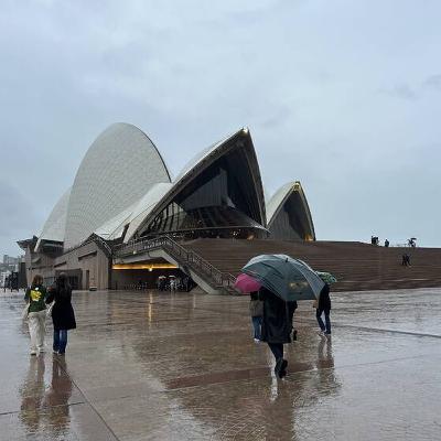Train services back on track after wild storm hits Sydney