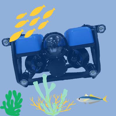 #11: O Veículo Autônomo Submarino da Equipe Terra, da UFSC