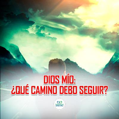 340. Díos Mío Qué Camino Debo Seguir