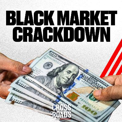 NYC Black Market Hit by ICE; Lawsuit Targets AI Defamation