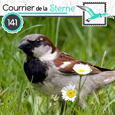 CDLS#141 : "Plus de pesticides, moins d'oiseaux" (Thamnophilidés)