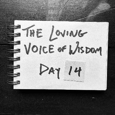 Day 14 | The loving voice of wisdom