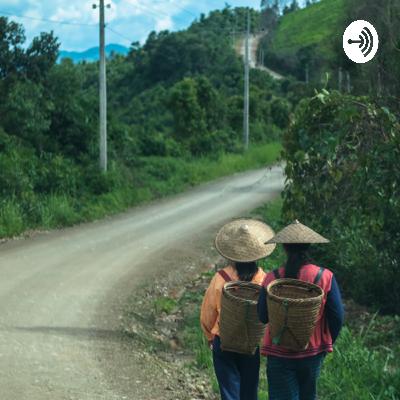 국제개발과 시온