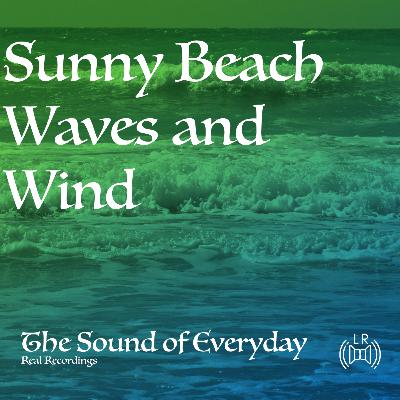Sunny Beach Waves and Wind - Relaxing Nature Sound