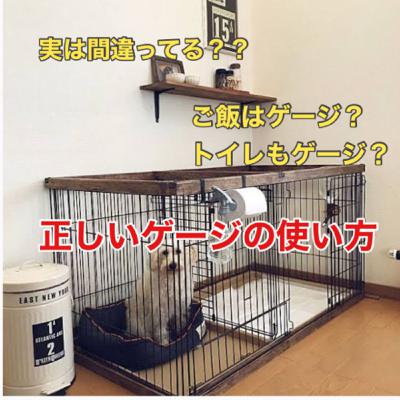 #12 みんなが知らないゲージの正しい使い方