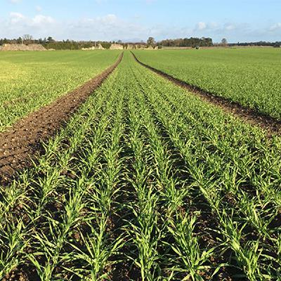 Benchmarking: Focusing Efforts to Improve Farm Performance Benchmarking: Focusing Efforts to Improve Farm Performance