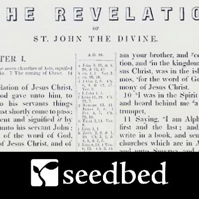 NT666: Revelation Session 17 (audio version)