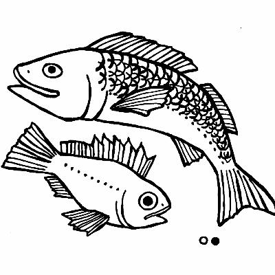 〔7-7〕釣れない楽しさ・釣れる楽しさ。11時間のスズキ釣り-後編〔KANNNOME〕 〔7-7〕釣れない楽しさ・釣れる楽しさ。11時間のスズキ釣り-後編〔KANNNOME〕