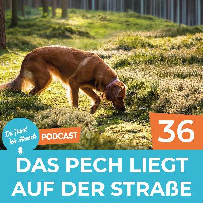 36# Das Pech liegt auf der Straße 36# Das Pech liegt auf der Straße