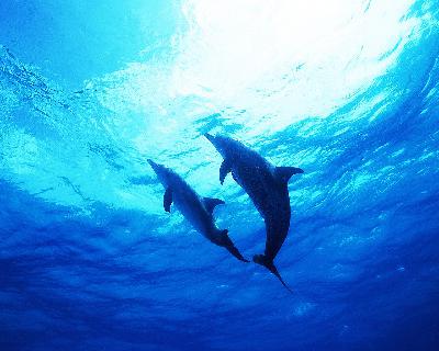 《唐朝诡事录之长安》：盛唐暗面的人性博弈与悬疑叙事革新