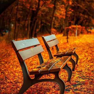 "strolling through serenity" - 432Hz relaxing music with soothing footsteps and wind sounds for relaxation and sleep "strolling through serenity" - 432Hz relaxing music with soothing footsteps and wind sounds for relaxation and sleep
