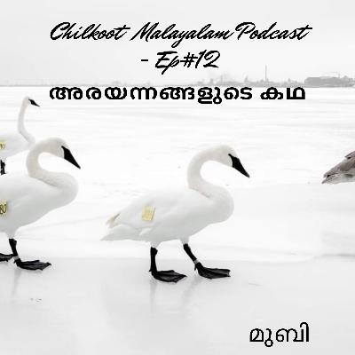 അരയന്നങ്ങളുടെ കഥ