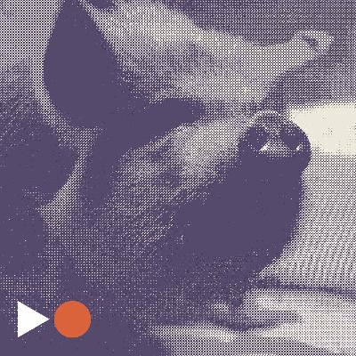 Avsnitt 84: Filmåret 2021